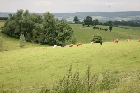 A cote de l'epicerie, Maison en pierre à Durbuy avec sauna et vue - Photo 25