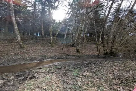 A cote de l'epicerie, Maison en pierre à Durbuy avec sauna et vue - Photo 37