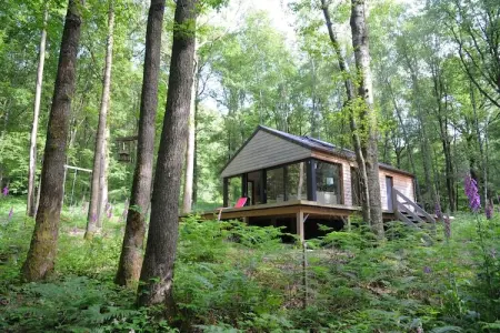 Droles d'écureuil, Chalet à Oignies près de la frontière française - Photo 2