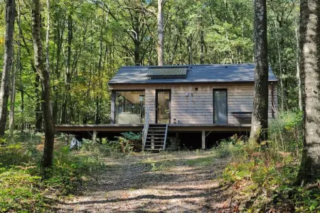 Droles d'écureuil, Chalet à Oignies près de la frontière française - Photo 3