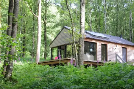 Droles d'écureuil, Chalet à Oignies près de la frontière française - Photo 4