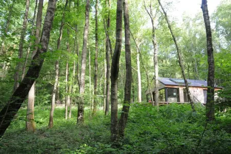 Droles d'écureuil, Chalet à Oignies près de la frontière française - Photo 16