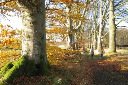 Les Jardins de l'Ourthe 8, Maison à Houffalize avec Sauna - Photo 13