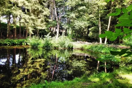 Les Jardins de l'Ourthe 8, Maison à Houffalize avec Sauna - Photo 28