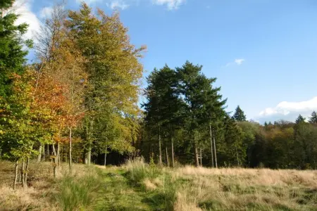 Les Rochettes Vénus 2, Maison à La Roche avec Sauna & Nature - Photo 23