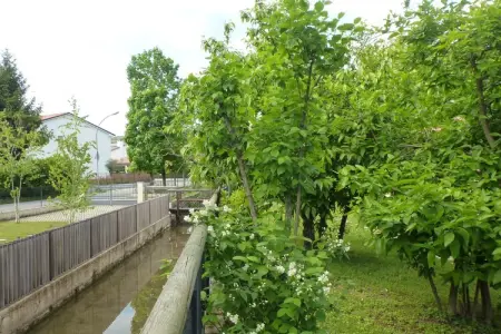 Casa sul Piave, Maison de vacances moderne avec jardin à Montello - Photo 23