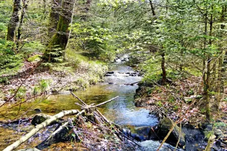 Balcon Petite Suisse, Chalet confortable dans les Ardennes avec piscine - Photo 16
