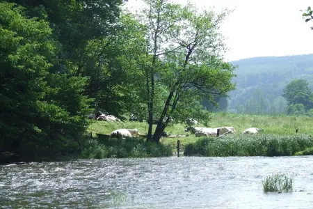 Balcon Petite Suisse, Chalet confortable dans les Ardennes avec piscine - Photo 28