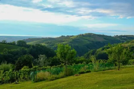Casa Alba, Manoir à Langhe avec Piscine et Vignoble - Photo 18