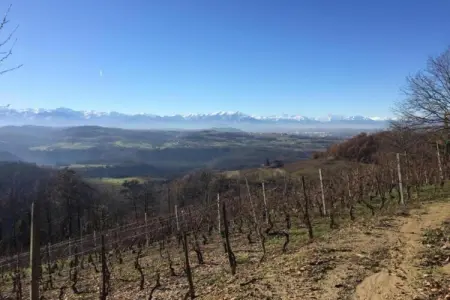 Casa Alba, Manoir à Langhe avec Piscine et Vignoble - Photo 21