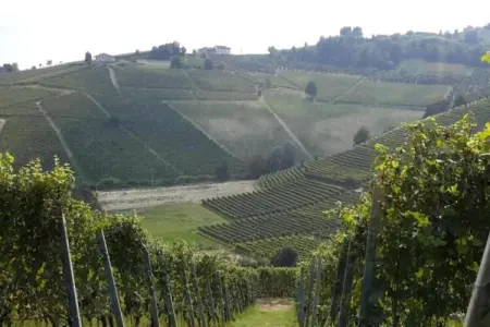 Casa Alba, Manoir à Langhe avec Piscine et Vignoble - Photo 23