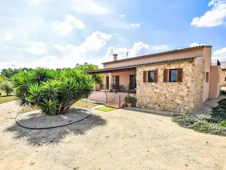 Son Tey, Maison 6 personnes à Sineu - Photo 35