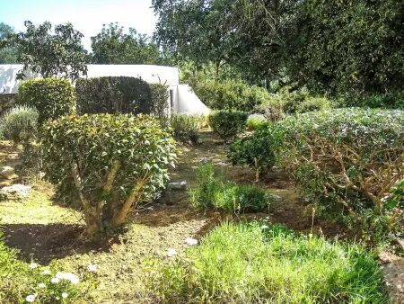 Doroteia, Maison 4 personnes à Carvoeiro (Algarve) - Photo 18