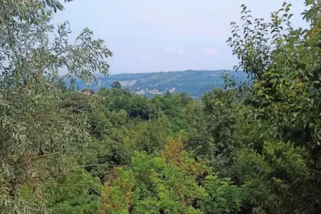 Carrù, Manoir à Langhe avec Piscine et Vignoble - Photo 39