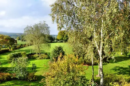 La Buse, Maison de vacances dans un cadre paisible jardin - Photo 22