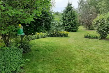 La Buse, Maison de vacances dans un cadre paisible jardin - Photo 34