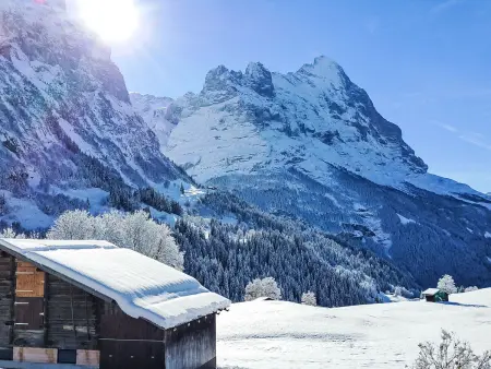 Lohnerhus, Appartement 2 personnes à Grindelwald - Photo 9