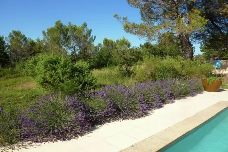 Grande Villa Vue Panoramique, Saint-Siffret : Forêt et Étang - Photo 20