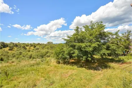 Grande Villa Vue Panoramique, Saint-Siffret : Forêt et Étang - Photo 25
