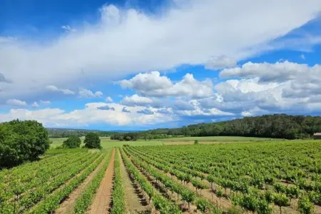 Grande Villa Vue Panoramique, Saint-Siffret : Forêt et Étang - Photo 36