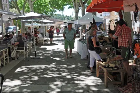 villa Suvieres, Villa à Puget-sur-Argens avec Piscine & Jardin - Photo 35