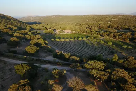 Casa Smeralda, Maison de vacances à Telti près de la plage - Photo 28