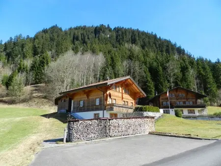 Studio Rinderbergblick, Appartement 2 personnes à Zweisimmen - Photo 2