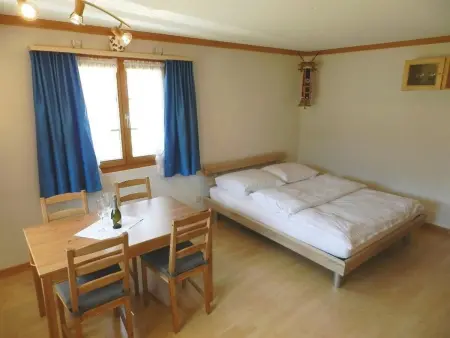 Studio Rinderbergblick, Appartement 2 personnes à Zweisimmen - Photo 7