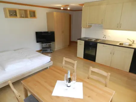 Studio Rinderbergblick, Appartement 2 personnes à Zweisimmen - Photo 8