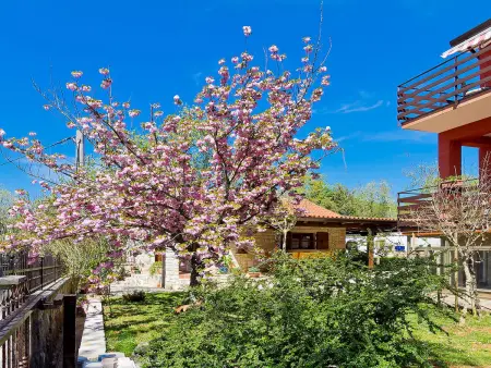 Majda, Appartement 6 personnes à Umag - Photo 27