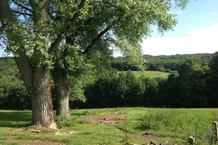 House with a view, Manoir avec vue imprenable - Photo 36