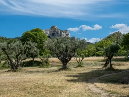 Siflora, Villa 8 personnes à Saint Rémy de Provence - Photo 27