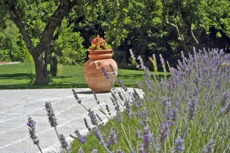 Panchevilla, Villa à Pistoia avec piscine chauffée - Photo 35