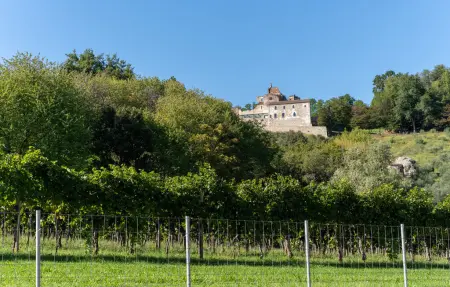 Vista dai Colli, Maison 14 personnes à Volpago d.Montello TV - Photo 8