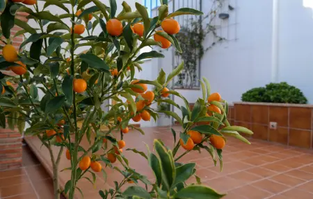Appartement 6 personnes à Fuengirola, Malaga - Photo 11
