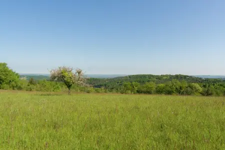 Malemort, Retraite de jardin confortable à Malemort - Photo 20