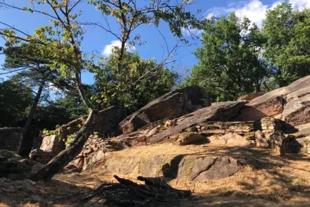 Malemort, Retraite de jardin confortable à Malemort - Photo 28