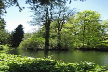 Malemort, Retraite de jardin confortable à Malemort - Photo 33