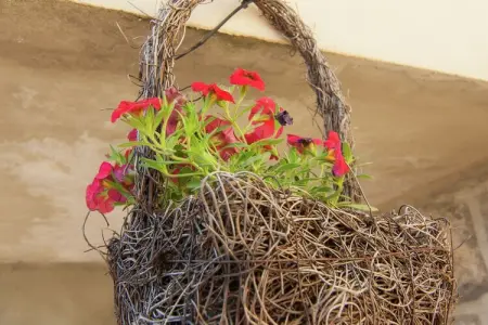 Malemort, Retraite de jardin confortable à Malemort - Photo 37