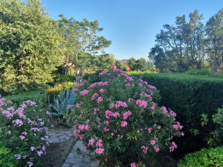 La Maison bleue, Maison 4 personnes à Grimaud - Photo 15