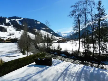 La Sarine 222, Appartement 2 personnes à Gstaad - Photo 7
