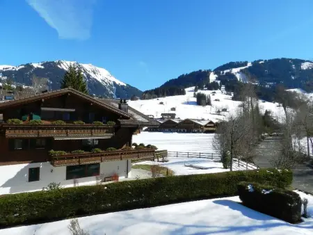 La Sarine 222, Appartement 2 personnes à Gstaad - Photo 8