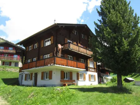 Abendrot EG Süd-West, Appartement 6 personnes à Riederalp - Photo 2