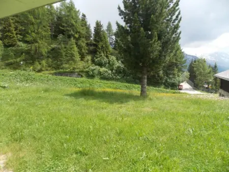 Abendrot EG Süd-West, Appartement 6 personnes à Riederalp - Photo 4