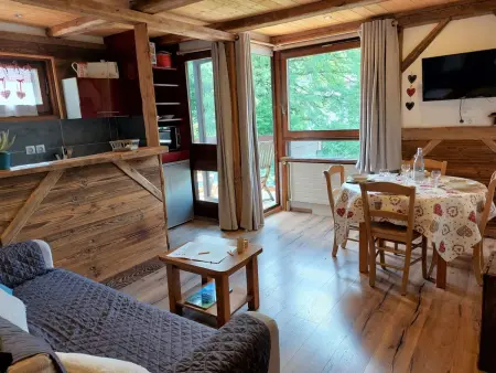 Castel des roches, Appartement 4 personnes à Saint Gervais - Photo 4