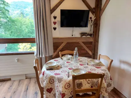 Castel des roches, Appartement 4 personnes à Saint Gervais - Photo 6