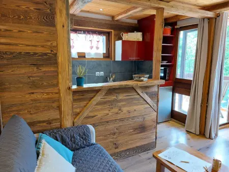 Castel des roches, Appartement 4 personnes à Saint Gervais - Photo 8