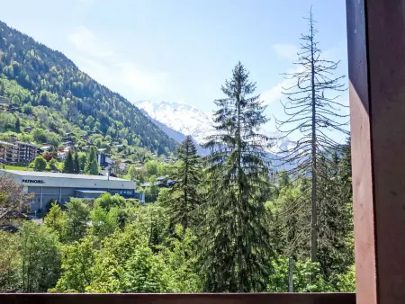Castel des roches, Appartement 4 personnes à Saint Gervais - Photo 21