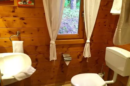 Remschweiler, Chalet près de Bitche avec Sauna - Photo 12