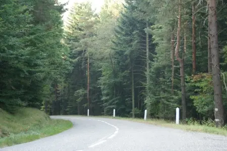 Remschweiler, Chalet près de Bitche avec Sauna - Photo 17